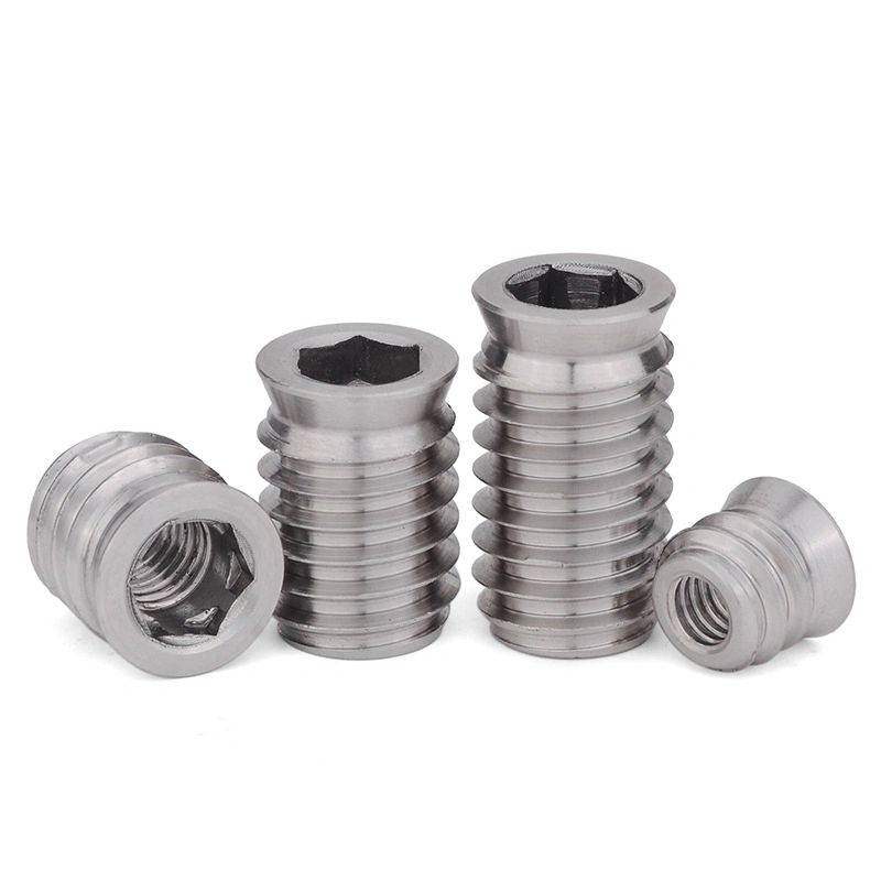 Stainless Steel Nut Set Hex Socket Drive Insert Nuts Threaded for Wood Furniture